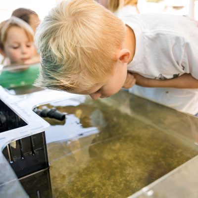 a group of people performing on a counter