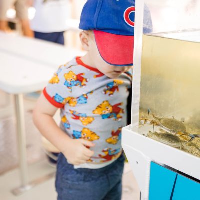 a little boy that is standing in the kitchen