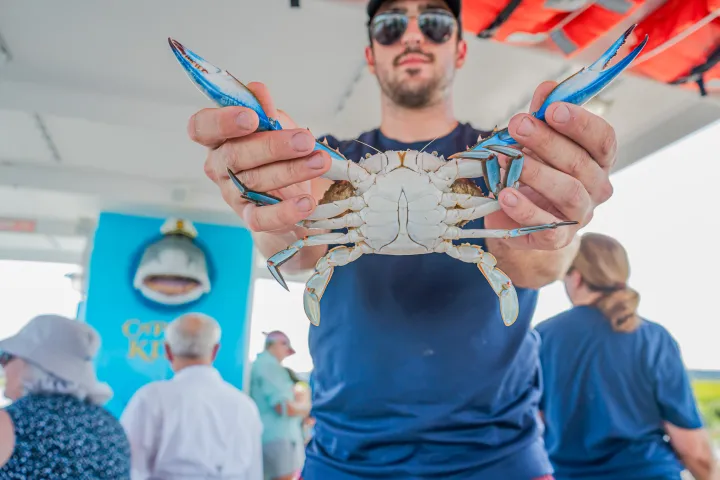 Person holding a blue crab in a boat with people in the background.