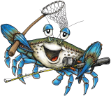 a close up of an animal