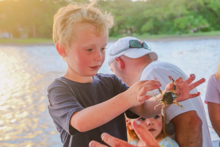 Child holding a crab near a body of water, with sunlight and other people in the background.
